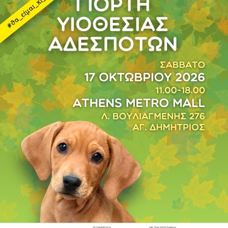 ΓΙΟΡΤΗ ΥΙΟΘΕΣΙΑΣ ΑΔΕΣΠΟΤΩΝ