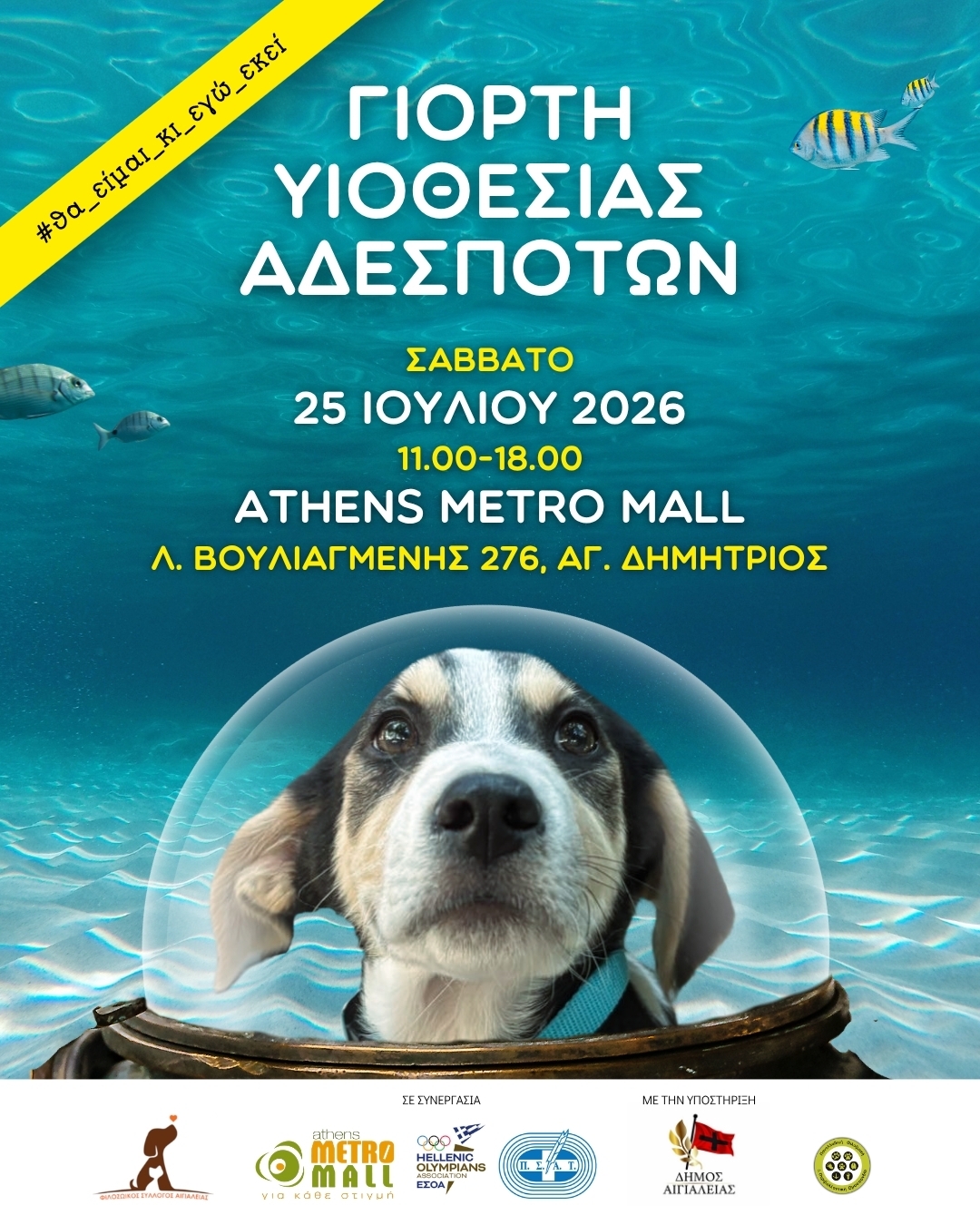 ΓΙΟΡΤΗ ΥΙΟΘΕΣΙΑΣ ΑΔΕΣΠΟΤΩΝ