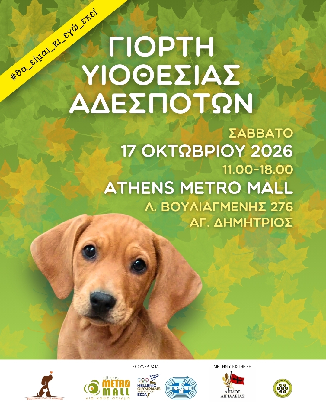 ΓΙΟΡΤΗ ΥΙΟΘΕΣΙΑΣ ΑΔΕΣΠΟΤΩΝ